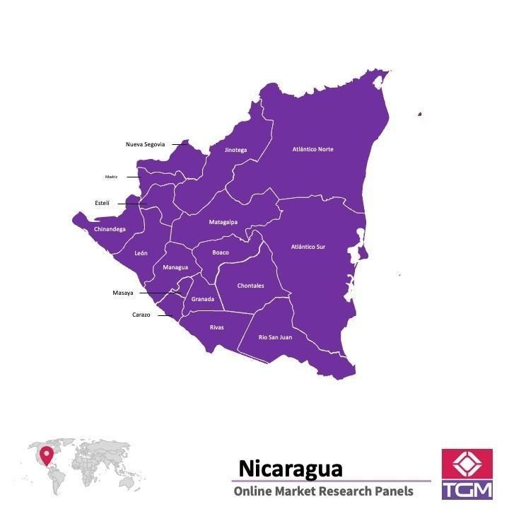 Panel badawczy online w Nikaragui |  Badania rynku w Nikaragui